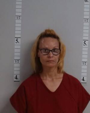 Mugshot of Linda Gayle Holden-Polly