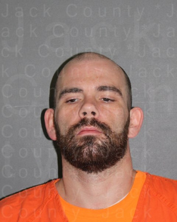 Mugshot of DRAVEN L POWELL