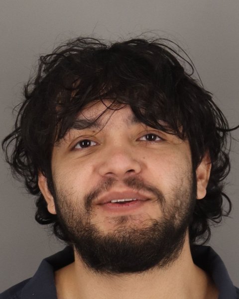 Mugshot of EMMANUEL FALCON