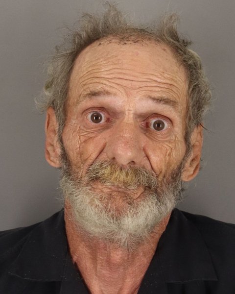 Mugshot of ROBERT LYNCH
