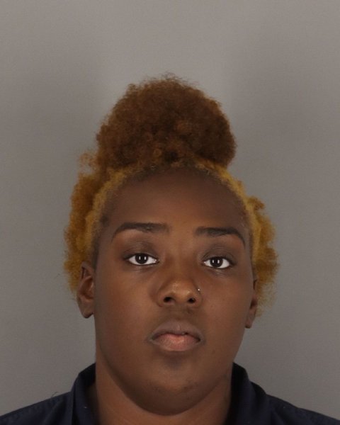 Mugshot of ARIYANNA WILMORE