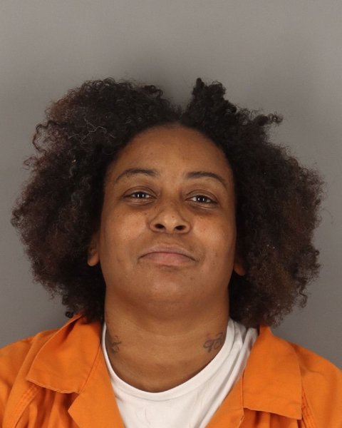 Mugshot of DANIELLE PITRE