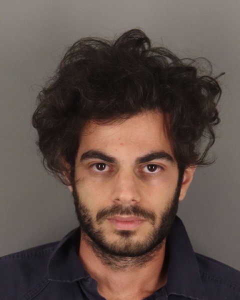 Mugshot of SINA VALEH