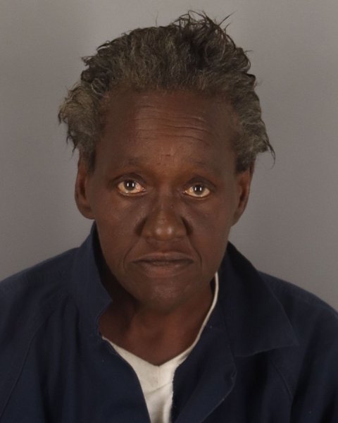 Mugshot of JANICE DUMAS