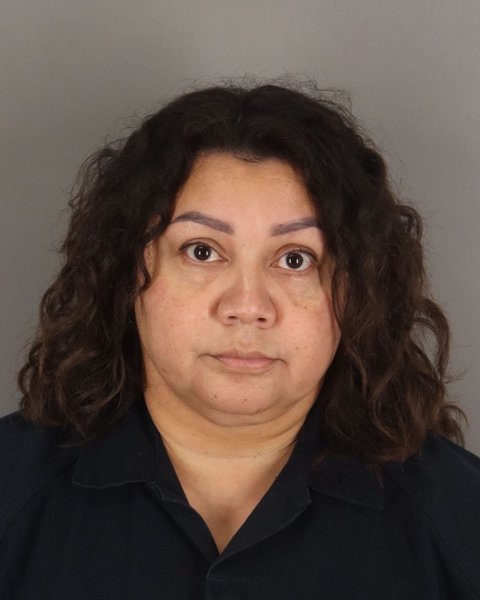 Mugshot of VANESSA MEBANE