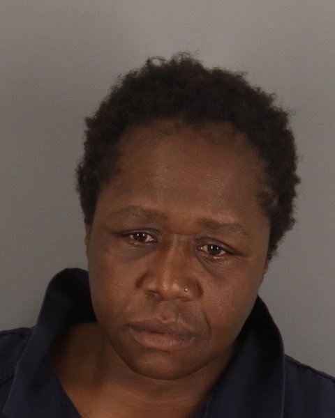 Mugshot of NATASHA ROBINSON