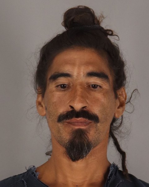 Mugshot of PAUL DELAO