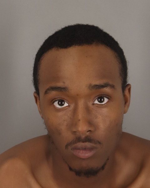 Mugshot of BRANDON SONN