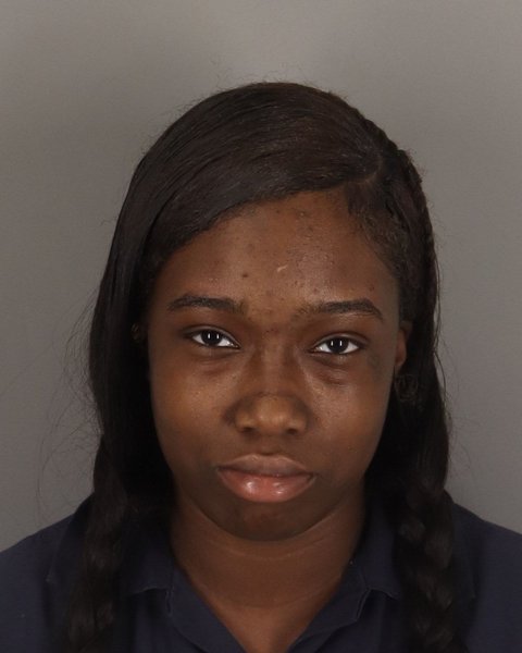 Mugshot of HARMONY RICHARD-YOUNG
