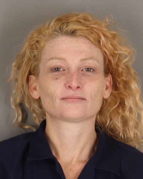 Mugshot of JESSICA THEOBALD