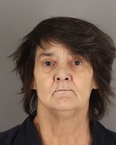 Mugshot of STACEY TYLER