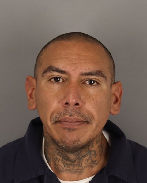 Mugshot of RENE AVILA