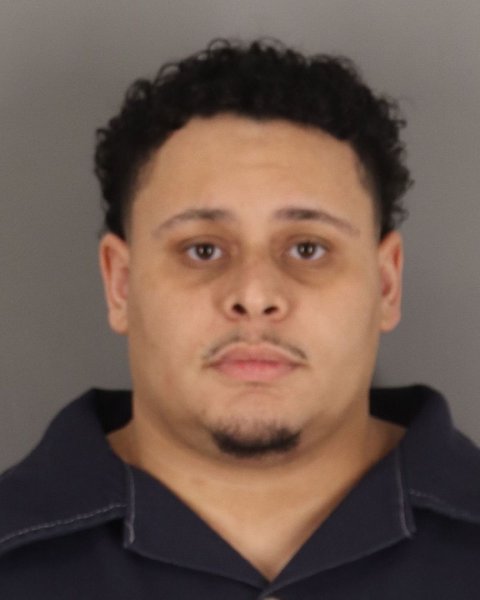 Mugshot of SHAWN GRAY