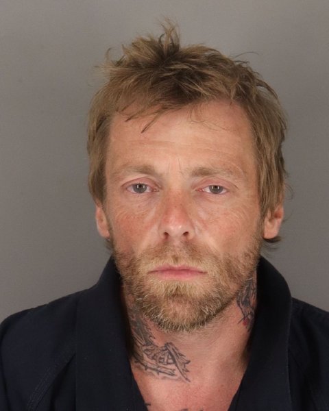 Mugshot of JASON WEISENFELD