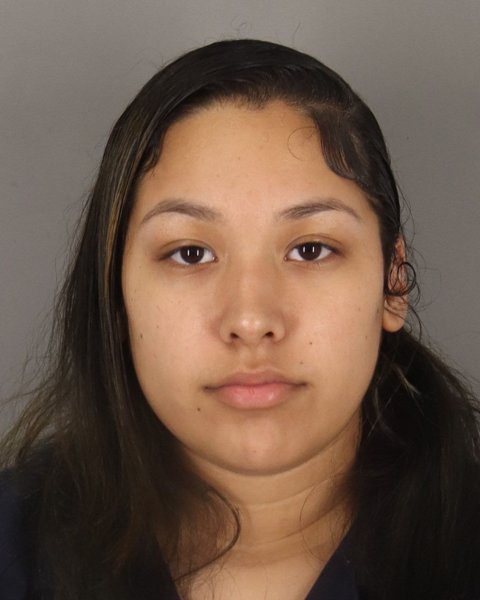 Mugshot of BRISSA DEHOYOS