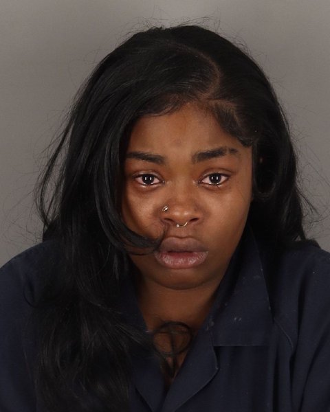 Mugshot of DARIEN HALL