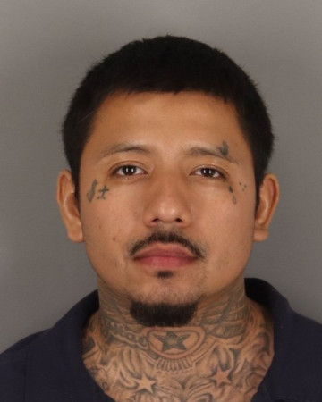Mugshot of VICENTE OCAMPO