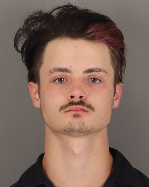 Mugshot of HAIZE ALDERMAN