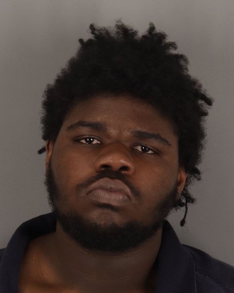 Mugshot of BRADLEY WILLIAMS