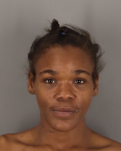 Mugshot of DANASHA MCMILLIAN