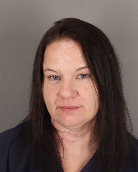 Mugshot of ANGELLE BOONE