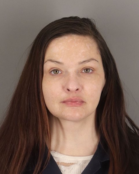 Mugshot of STEVIE HOWARD