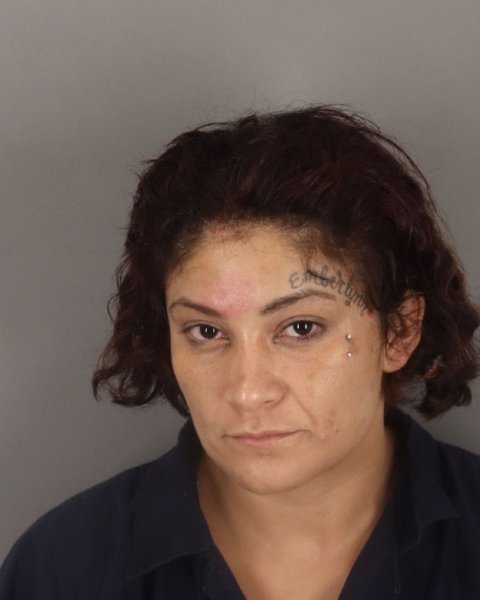 Mugshot of CRYSTAL PERALEZ