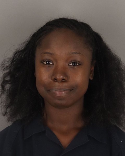 Mugshot of BREE WILLIAMS