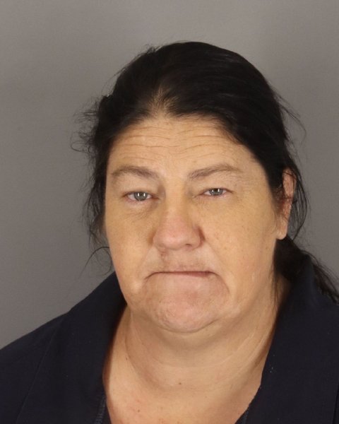 Mugshot of DEENA JOHNSON