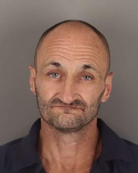 Mugshot of DAVID BATES