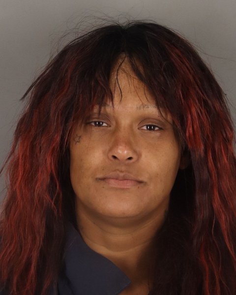 Mugshot of CHRISTINA WILLIAMS