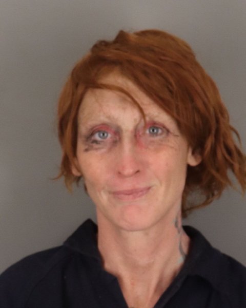 Mugshot of TARA HOLT