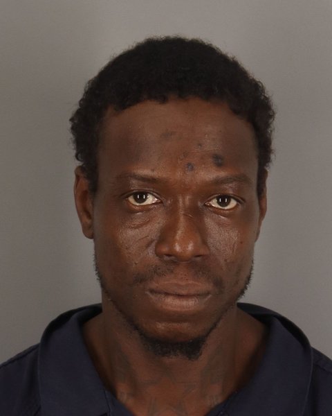Mugshot of REGINALD WILLIAMS