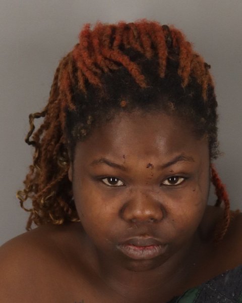 Mugshot of TIJANA WHITE