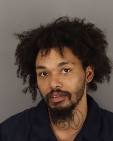 Mugshot of MICHAEL PELICAN
