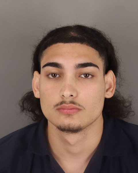 Mugshot of REMYS PEREZ