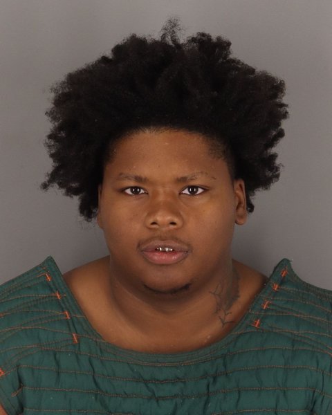 Mugshot of JERMIJAY WILLIAMS