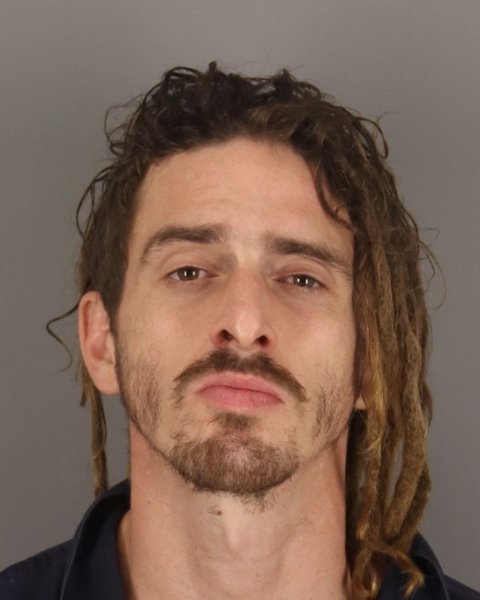 Mugshot of TYLER POWELL