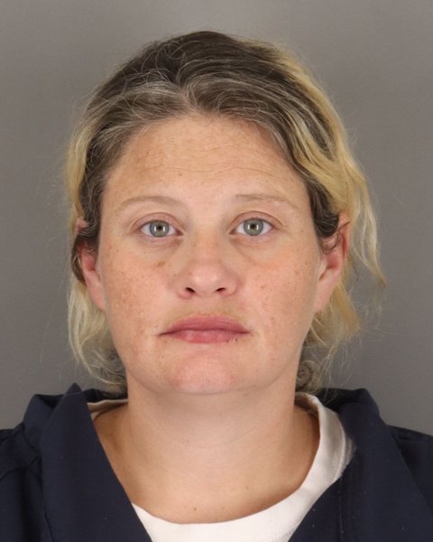 Mugshot of DENISE WOODS