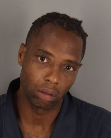 Mugshot of DEWAYNE ROBSON