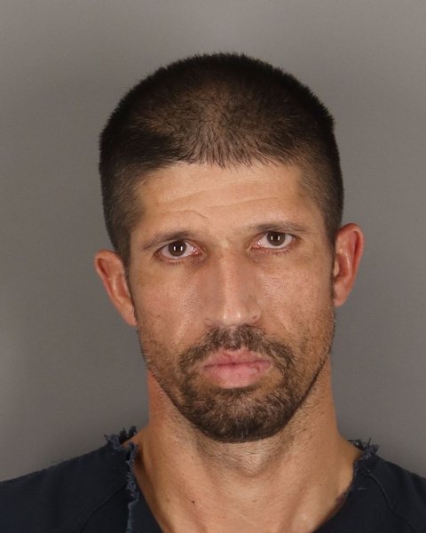 Mugshot of JAY NELSON