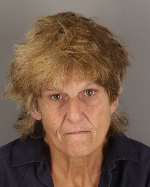 Mugshot of TONYA HARST