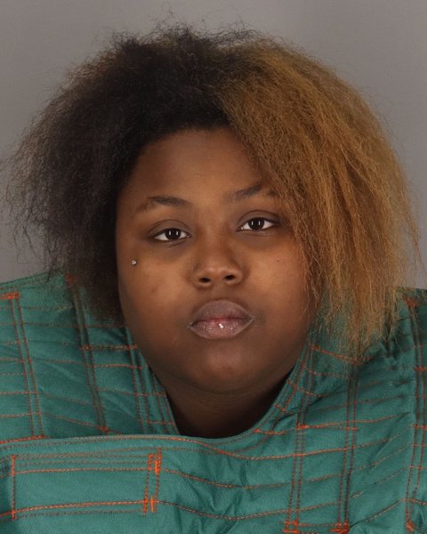 Mugshot of ROBIN ANDERSON