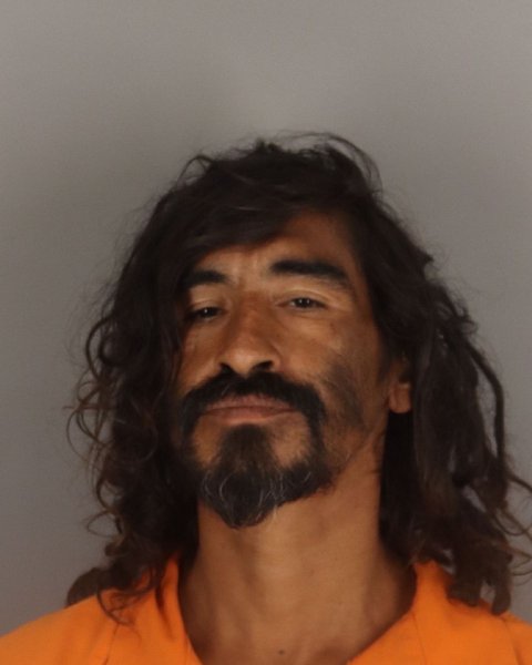 Mugshot of PAUL DELAO