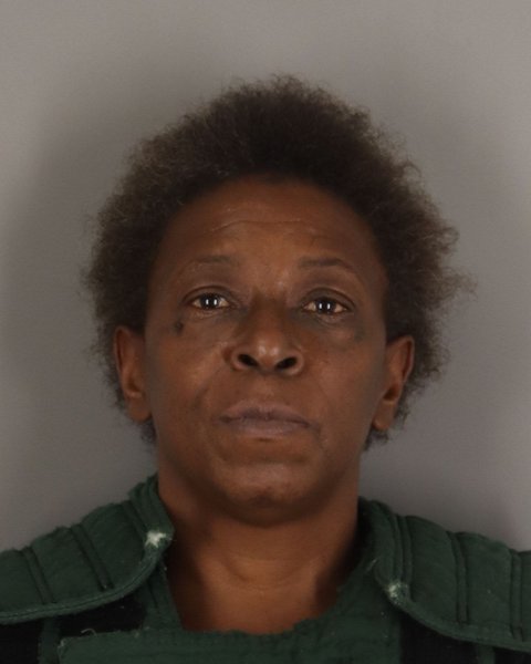 Mugshot of SHAUNTELLE HORNES
