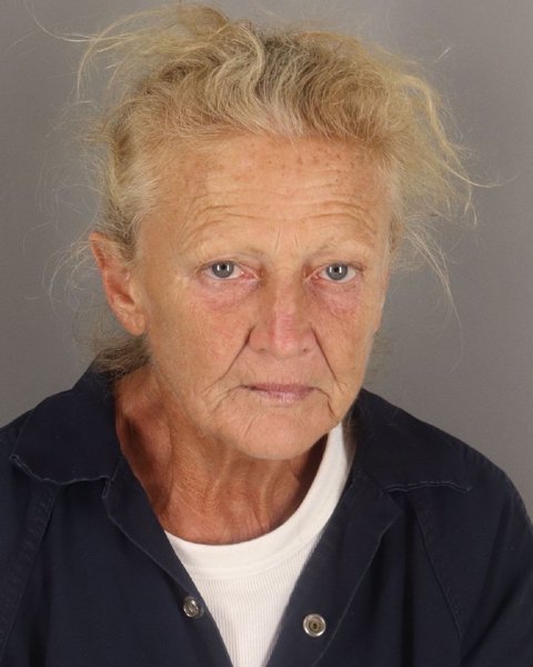 Mugshot of SANDRA HOLLYFIELD