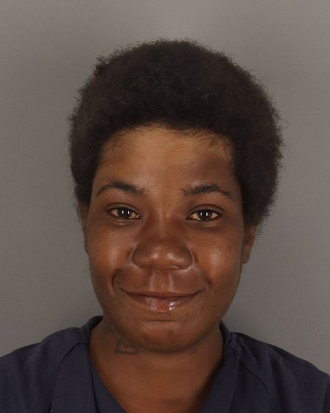 Mugshot of TIFFANY TURNER
