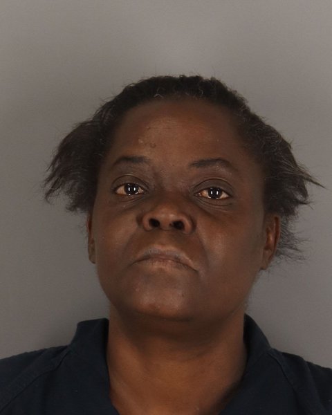 Mugshot of TRESICA VILTZ
