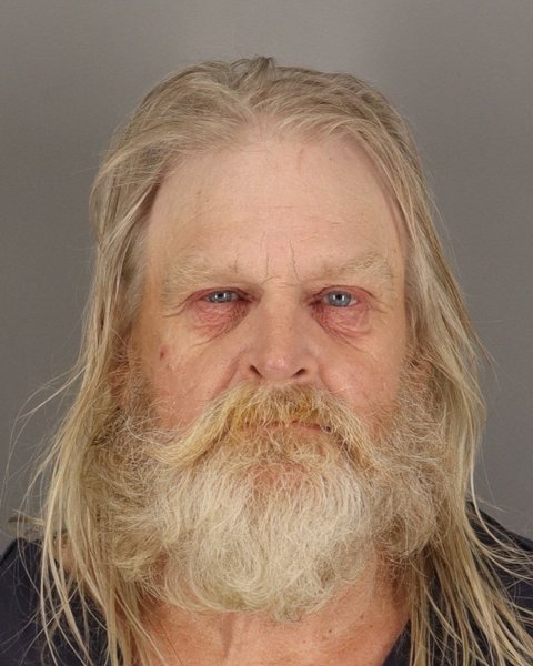 Mugshot of RONALD PULSE