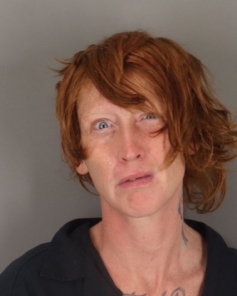 Mugshot of TARA HOLT